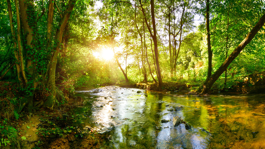 The Benefits of Monthly Fasting